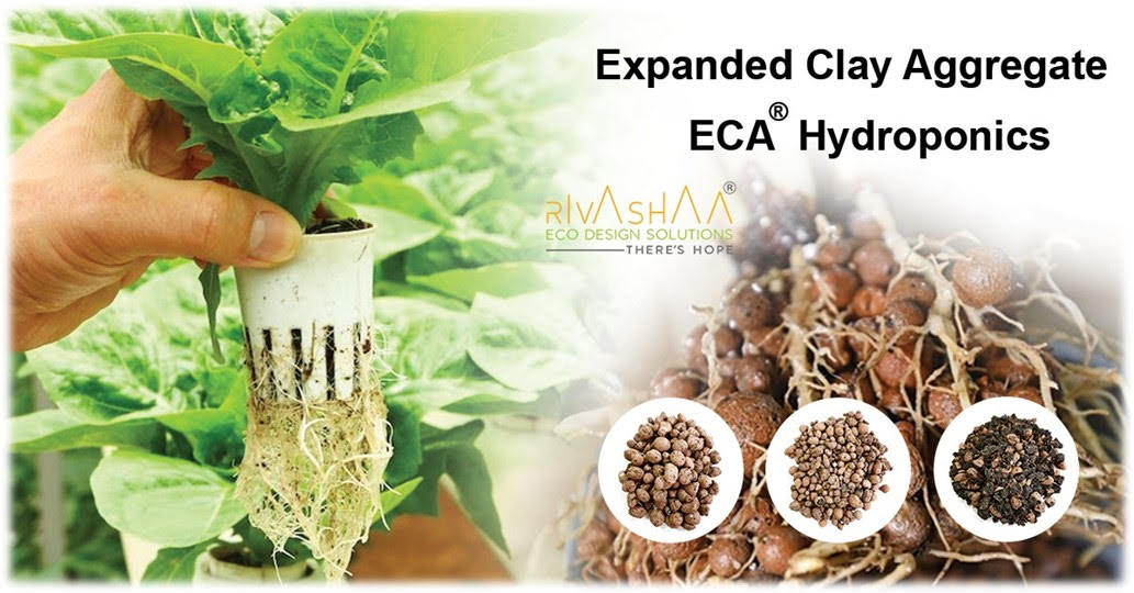 Organic Premium Hydroponic Leca Clay Pebbles for Plant Growing Media -  China Expanded Clay, Clay Pebbles