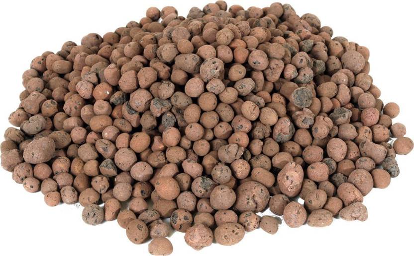 Using Hydroton (Leca Expanded Clay Pebbles) to Grow Plants  Hydroponic  farming, Hydroponic gardening, Hydroponic growing